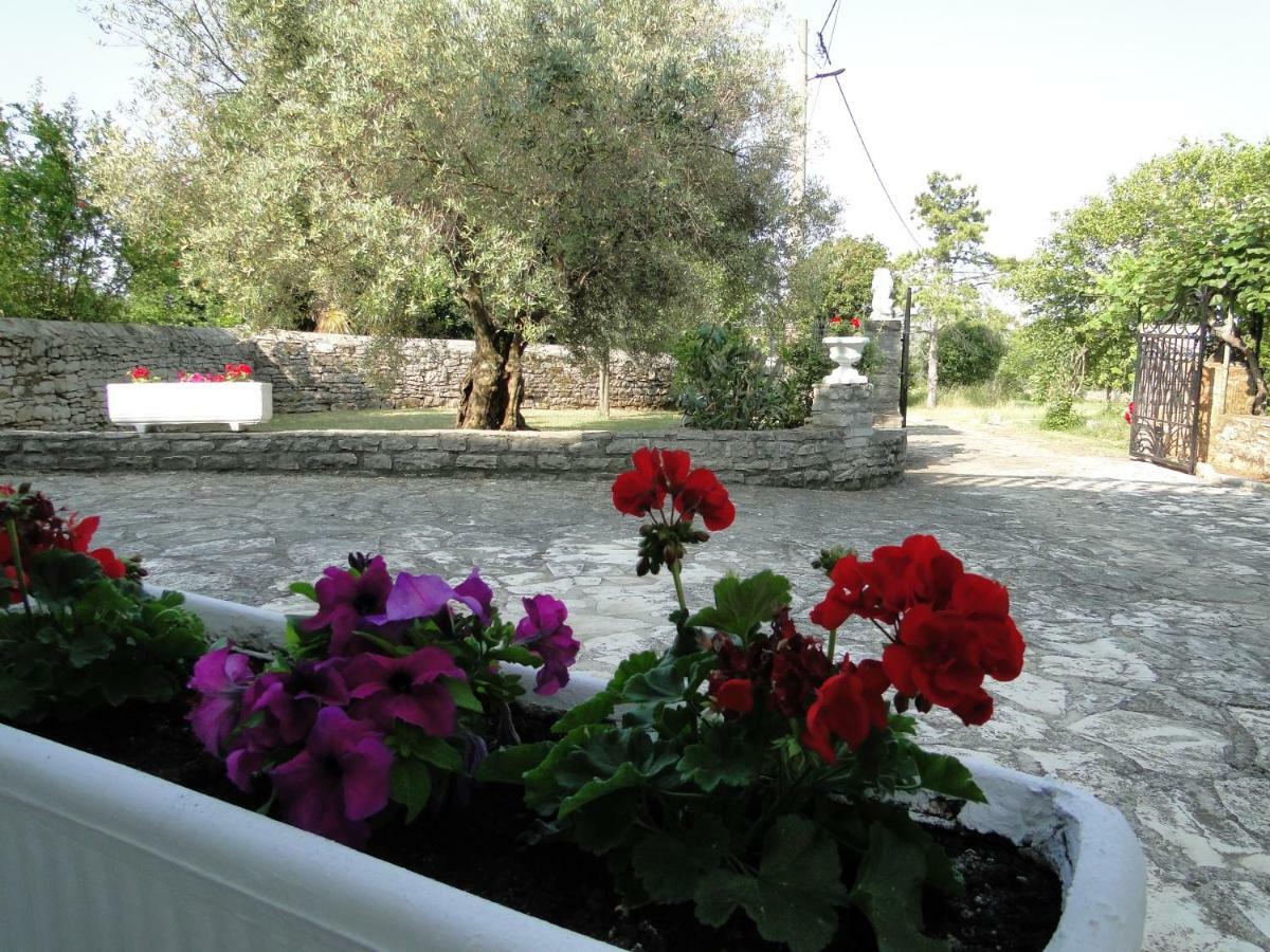 Apartments Villa Maran Umag Exterior foto